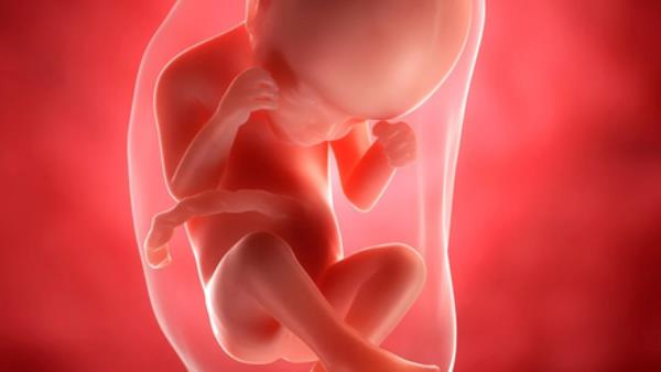 怀孕24周:建议，症状和可能发生的事情