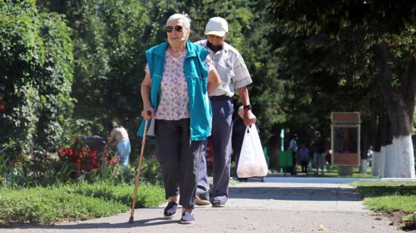 An older couple walks through a park
