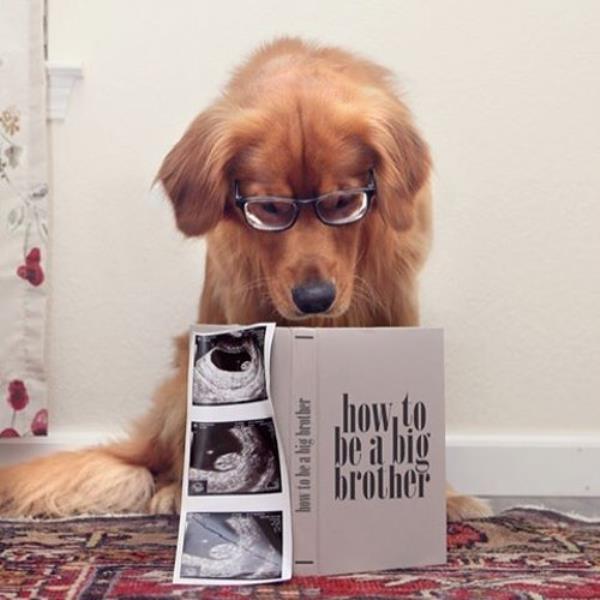 baby announcement 