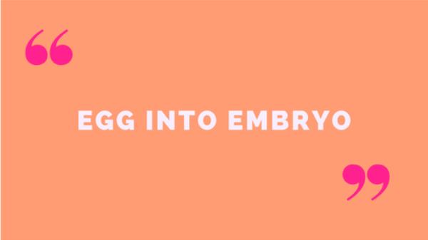 egg into embryo in quotation marks