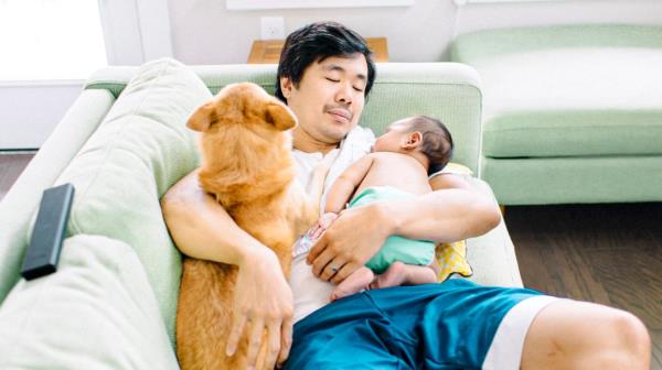 在你带宝宝回家之前，这里是如何准备你的宠物