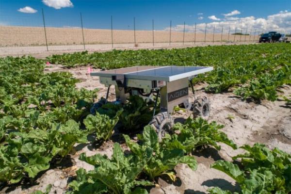科技退伍军人出资400万美元开发太阳能机器人，消灭杂草并使土壤再生
