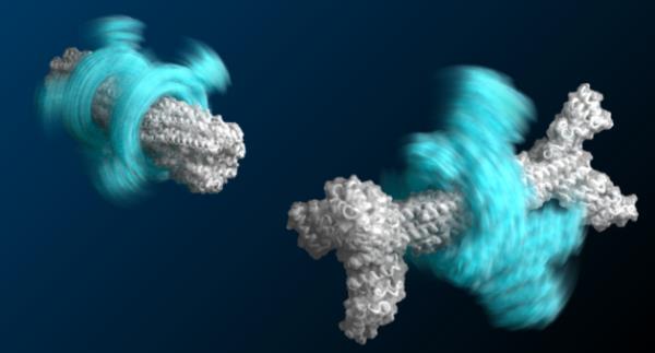 华盛顿大学的研究人员设计并制造了蛋白质定制机器