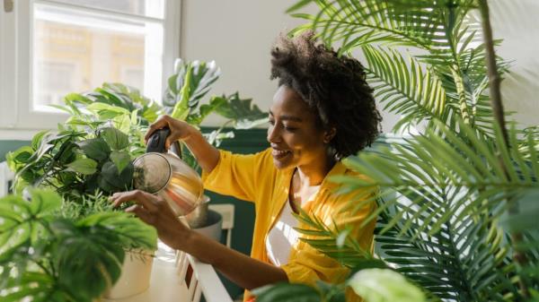 woman watering large indoor plants