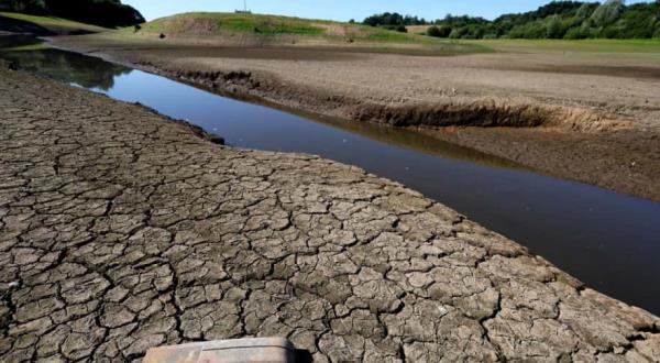 在热浪中，英国宣布英格兰8个地区出现干旱