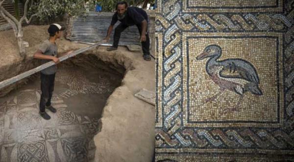 巴勒斯坦农民在加沙地带种植橄榄树时挖出了一幅拜占庭时代的马赛克