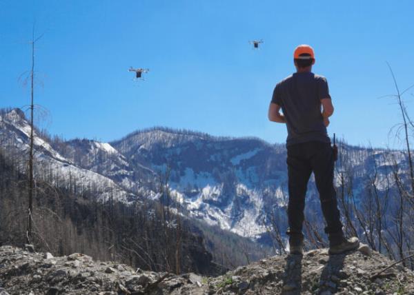 现代Johnny Appleseed:西雅图无人机初创公司在野火后重新种植森林