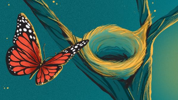 illustration of butterfly flying over an empty nest