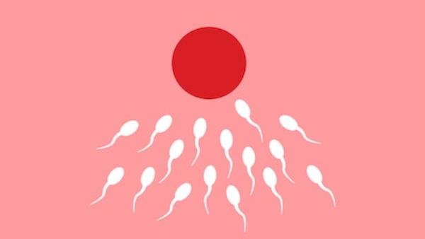 sperm-donation