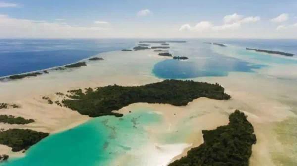 印尼“珊瑚三角”岛拍卖面临批评