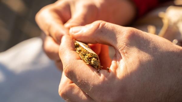 使用大麻治疗慢性疼痛的人患Afib的风险可能会增加