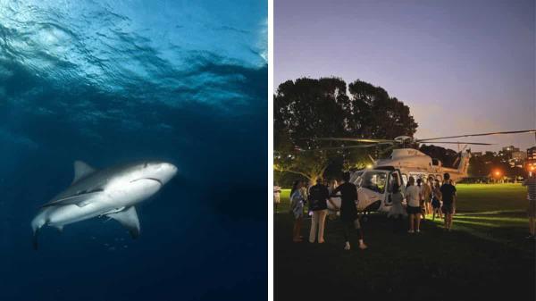 澳大利亚:一名女子在悉尼港遭遇罕见的鲨鱼袭击，目前情况稳定