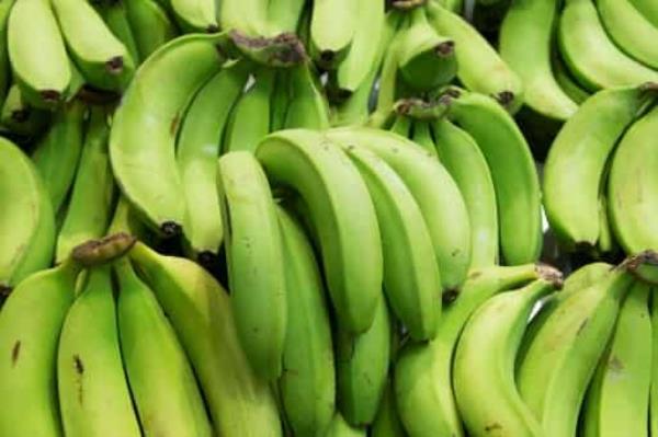 俄罗斯发怒，停止从厄瓜多尔进口香蕉，现在更喜欢印度水果