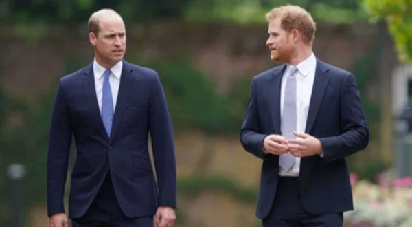 哈里王子在因癌症新闻拜访查尔斯国王时冷落了他的弟弟威廉王子