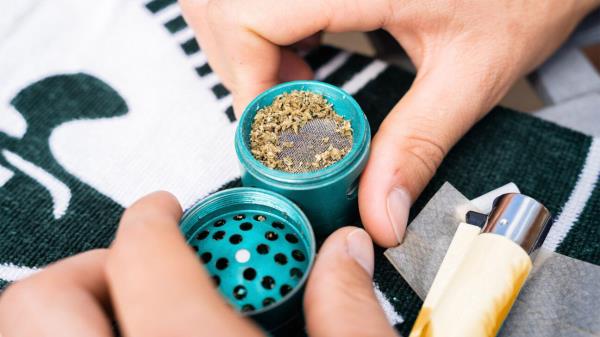 Cannabis is seen in a blue grinder.